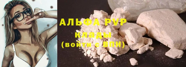 PSILOCYBIN Лиски