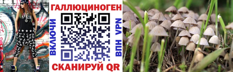 Псилоцибиновые грибы GOLDEN TEACHER  Купить где  Карасук 